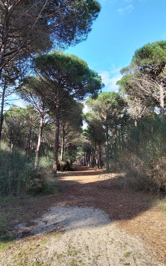 Villa La Catalane F3 avec Wi-Fi Le Barcarès Esterno foto